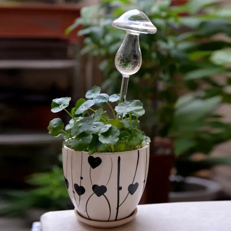 automatic plant feeder