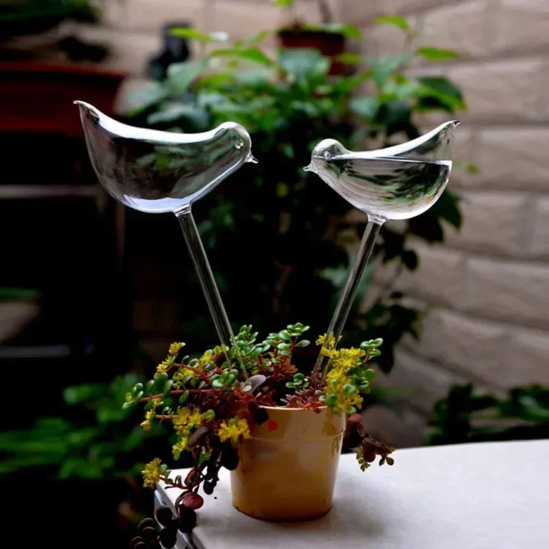 automatic plant feeder