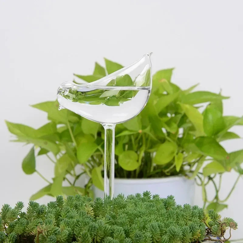 automatic plant feeder